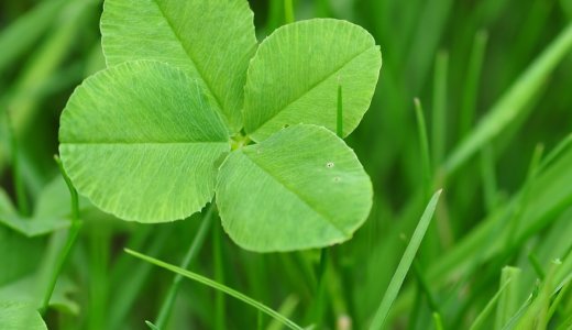 下のソーシャルリンクからフォロー