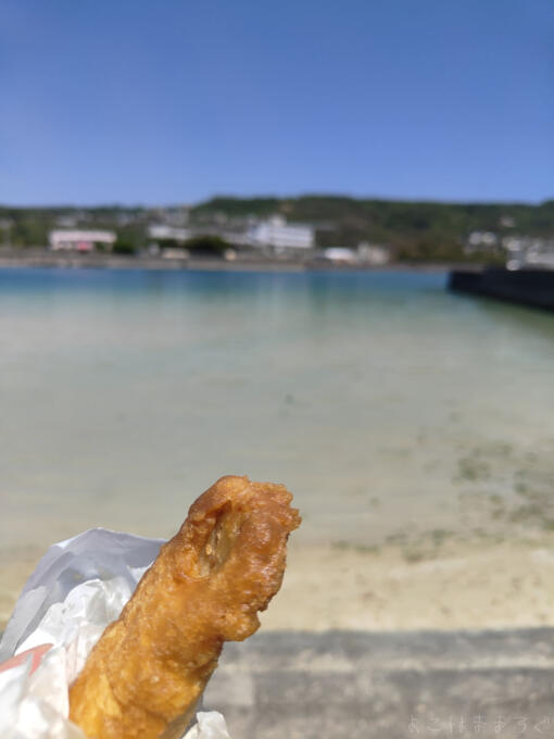 海を背景にしたフライ